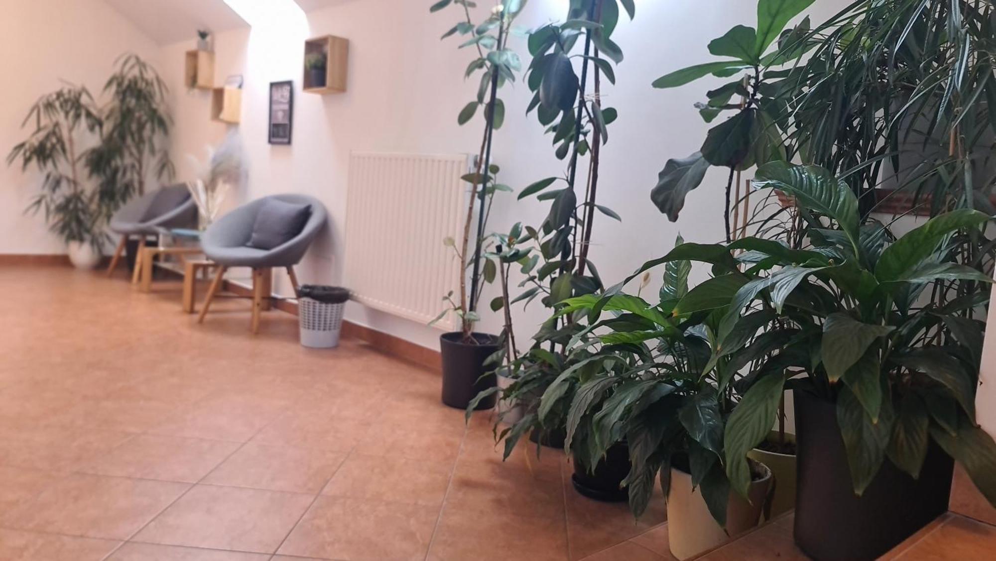 Brne Rooms Postojna Buitenkant foto