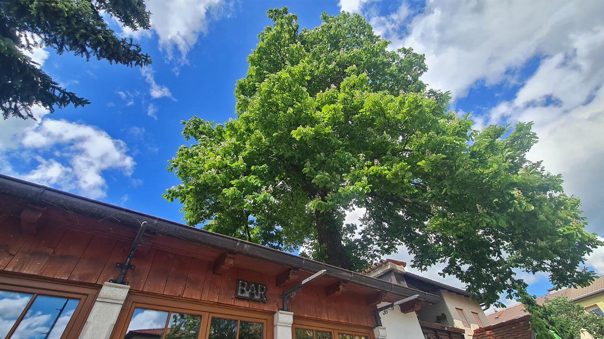 Brne Rooms Postojna Buitenkant foto