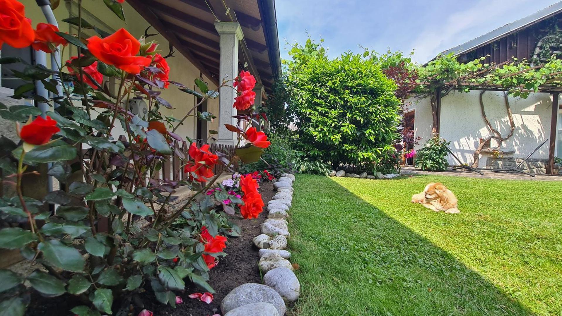 Brne Rooms Postojna Buitenkant foto