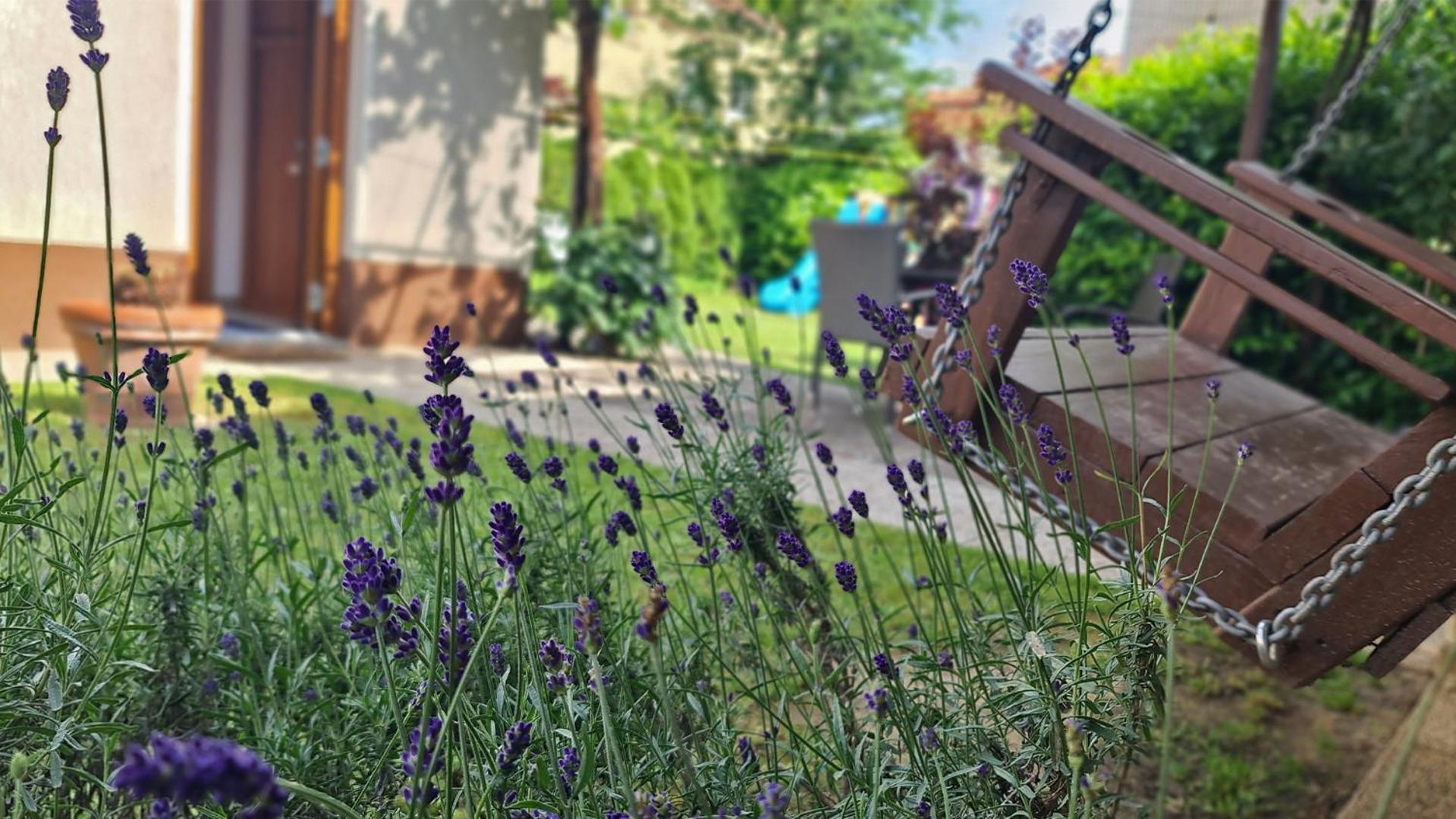 Brne Rooms Postojna Buitenkant foto